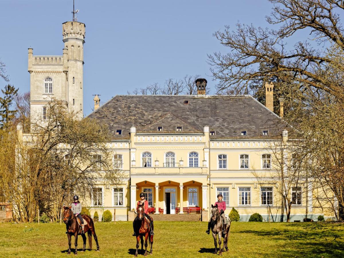 Palac Pensjonat Ptaszynka Грифіце Екстер'єр фото